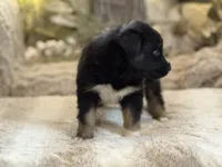 processed/5ee11d29-23ad-4780-b2f0-213b3353dc56/listing/cfd82472-af81-43c8-b4a1-f5d5503ddf70/3cdb677f-b7a2-4e00-b501-f7acb626ac4a