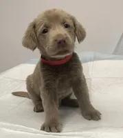 processed/5ee279b2-75ac-454c-8e7e-de475950a217/facility/01a95393-1e15-4fe7-a4a7-e8a8552b5b49