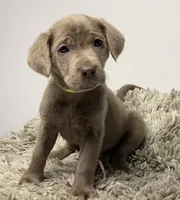 processed/5ee279b2-75ac-454c-8e7e-de475950a217/facility/1f853526-aa68-42fe-883c-c2a71abbd0ac