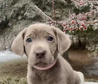 processed/5ee279b2-75ac-454c-8e7e-de475950a217/facility/49f341dc-28f0-4fcb-a2af-51ecf3184533