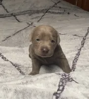 processed/5ee279b2-75ac-454c-8e7e-de475950a217/facility/fc8bd8d7-679d-422e-bea2-c8dde9b8956e