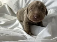 processed/5ee279b2-75ac-454c-8e7e-de475950a217/listing/eb20d0ed-6bdf-4d98-a155-cae73ef180c3/14efcf92-85b8-479d-9992-0ceb7eefea58