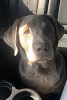 processed/5ee279b2-75ac-454c-8e7e-de475950a217/listing/eb20d0ed-6bdf-4d98-a155-cae73ef180c3/296886a9-38d1-47d2-b8ba-e94a42eb5ed9