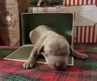 processed/5ee279b2-75ac-454c-8e7e-de475950a217/listing/eb20d0ed-6bdf-4d98-a155-cae73ef180c3/43a98315-85e7-4f21-b4a4-b79605600944