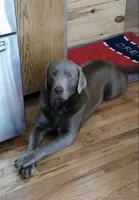 processed/5ee279b2-75ac-454c-8e7e-de475950a217/listing/eb20d0ed-6bdf-4d98-a155-cae73ef180c3/85931550-7d79-4c02-8037-0e9ff0c25086