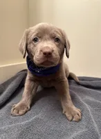 processed/5ee279b2-75ac-454c-8e7e-de475950a217/listing/eb20d0ed-6bdf-4d98-a155-cae73ef180c3/fbca5333-5fb3-4e97-8a5a-c6bb166fc40c