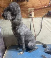 processed/5ee61aa1-997e-4614-8a95-d1e0ca875305/listing/1770640d-a8df-4d4d-b915-2b6b64959dbc/02d6edf3-543d-45b6-aa02-29c8bd3ca98e