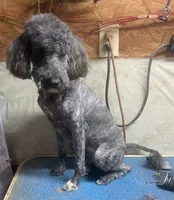 processed/5ee61aa1-997e-4614-8a95-d1e0ca875305/listing/1770640d-a8df-4d4d-b915-2b6b64959dbc/0a081075-b173-45c6-be11-24fde6170bb3