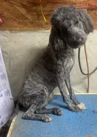 processed/5ee61aa1-997e-4614-8a95-d1e0ca875305/listing/1770640d-a8df-4d4d-b915-2b6b64959dbc/83ebcc83-72b5-4e00-967a-7bd3ce5ca694