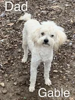 processed/5ee61aa1-997e-4614-8a95-d1e0ca875305/listing/1770640d-a8df-4d4d-b915-2b6b64959dbc/d9caebf6-bc13-4d06-b444-d8126f1f61ab