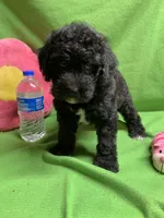 processed/5ee61aa1-997e-4614-8a95-d1e0ca875305/listing/1cbbb7f4-5693-46bc-a71e-7b278185b1f8/0633d8a7-1945-46c8-a65c-6a2c718f5e25