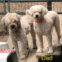 processed/5ee61aa1-997e-4614-8a95-d1e0ca875305/listing/1cbbb7f4-5693-46bc-a71e-7b278185b1f8/9700f1b0-1961-428b-8fc4-8e8797441dfd