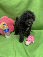 processed/5ee61aa1-997e-4614-8a95-d1e0ca875305/listing/1cbbb7f4-5693-46bc-a71e-7b278185b1f8/bd91b8d3-9daf-467e-8a9d-a74486b972a3