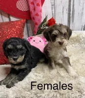 processed/5ee61aa1-997e-4614-8a95-d1e0ca875305/listing/31af7edf-0352-4e21-947a-2178eda0b5f3/0eec587e-3c8f-4b7f-8c0d-59427510ad60