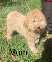 processed/5ee61aa1-997e-4614-8a95-d1e0ca875305/listing/31af7edf-0352-4e21-947a-2178eda0b5f3/a5c97783-5294-4baf-8a95-5e6cdcb3eb54