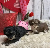 processed/5ee61aa1-997e-4614-8a95-d1e0ca875305/listing/31af7edf-0352-4e21-947a-2178eda0b5f3/ef254dd5-e908-48ef-90af-f8b0353ffdd3