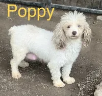 processed/5ee61aa1-997e-4614-8a95-d1e0ca875305/listing/4bc1a990-a86a-41b3-b385-3ca423cd9bcb/4bbccad5-4352-4977-8359-57b146e1f247