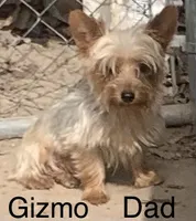 processed/5ee61aa1-997e-4614-8a95-d1e0ca875305/listing/4bc1a990-a86a-41b3-b385-3ca423cd9bcb/6e8436f9-1772-496f-972b-e1c0765514d4