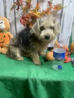 processed/5ee61aa1-997e-4614-8a95-d1e0ca875305/listing/4bc1a990-a86a-41b3-b385-3ca423cd9bcb/aab0f7db-e2c6-4ef7-ad93-12c0f8ade956