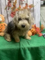 processed/5ee61aa1-997e-4614-8a95-d1e0ca875305/listing/4bc1a990-a86a-41b3-b385-3ca423cd9bcb/b140c782-f849-435b-8bd6-4d06c74012d9