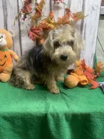 processed/5ee61aa1-997e-4614-8a95-d1e0ca875305/listing/4bc1a990-a86a-41b3-b385-3ca423cd9bcb/b28e1f14-96ee-48e8-b81d-e3805dd9c731