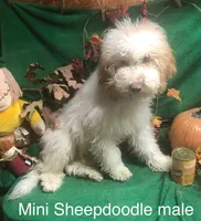 processed/5ee61aa1-997e-4614-8a95-d1e0ca875305/listing/596d70ab-4865-4784-8cdc-54c6cbba083d/5d8d99f2-f026-41e4-a8db-06d468837f2f