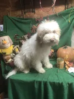 processed/5ee61aa1-997e-4614-8a95-d1e0ca875305/listing/596d70ab-4865-4784-8cdc-54c6cbba083d/6bbe0308-9858-4bf8-969b-59d4320695dd