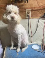 processed/5ee61aa1-997e-4614-8a95-d1e0ca875305/listing/596d70ab-4865-4784-8cdc-54c6cbba083d/a8b34d9b-a762-4d39-97d4-0b740836287b