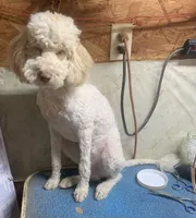 processed/5ee61aa1-997e-4614-8a95-d1e0ca875305/listing/596d70ab-4865-4784-8cdc-54c6cbba083d/bdcb5816-74d9-4c28-b0e2-bb0192ac2f4c