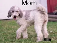 processed/5ee61aa1-997e-4614-8a95-d1e0ca875305/listing/596d70ab-4865-4784-8cdc-54c6cbba083d/c1213f96-35bf-41e2-af9f-00aeab7d836f