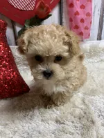 processed/5ee61aa1-997e-4614-8a95-d1e0ca875305/listing/67cb08dc-b61f-4b96-b22c-aa816da5447b/0264d57e-125f-40c5-8148-dffd090f24c1