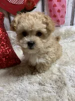 processed/5ee61aa1-997e-4614-8a95-d1e0ca875305/listing/67cb08dc-b61f-4b96-b22c-aa816da5447b/2084697c-5ec3-4ea2-9100-7410701d4ac4