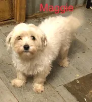 processed/5ee61aa1-997e-4614-8a95-d1e0ca875305/listing/67cb08dc-b61f-4b96-b22c-aa816da5447b/97389538-0aa5-47b5-9aef-74c79980f6d3