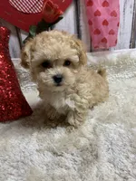 processed/5ee61aa1-997e-4614-8a95-d1e0ca875305/listing/67cb08dc-b61f-4b96-b22c-aa816da5447b/982c0f3f-1c45-4369-a3c4-0130dfe7e1c4