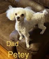 processed/5ee61aa1-997e-4614-8a95-d1e0ca875305/listing/67cb08dc-b61f-4b96-b22c-aa816da5447b/fd1ed825-9837-48f5-a7d6-1f44ac59e0f2