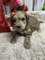 processed/5ee61aa1-997e-4614-8a95-d1e0ca875305/listing/e23d7c37-d94e-4cdd-9a46-706d2b4b74ea/ab4319b2-4b14-4cd2-bb90-678c93870380