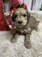 processed/5ee61aa1-997e-4614-8a95-d1e0ca875305/listing/e23d7c37-d94e-4cdd-9a46-706d2b4b74ea/b7654e39-8f15-420e-a94c-25398d5841e4