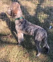 processed/5ee61aa1-997e-4614-8a95-d1e0ca875305/listing/fdc2bb87-efb4-4082-878d-c2b2f52ed3a2/52339bbe-9d90-49bc-a93c-d5b5f75c58d3