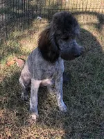 processed/5ee61aa1-997e-4614-8a95-d1e0ca875305/listing/fdc2bb87-efb4-4082-878d-c2b2f52ed3a2/cd3351b7-a99c-4562-8001-22b2dbcd005f