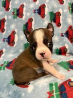 processed/5eeab4cf-ef53-49c7-b289-fd6aca1810ae/listing/b1c4307f-70d8-4118-831c-a72186e1877a/12f1e310-224a-4eaa-97b2-e9b81fdffdef