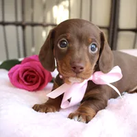 processed/5eeb9e21-a634-440b-896f-8ac4f61a2058/facility/85791336-e8e9-4878-adb2-3cfc46e4b4a6