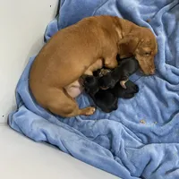 processed/5eeb9e21-a634-440b-896f-8ac4f61a2058/facility/900bfdca-753e-41a3-8057-7a199701e38f