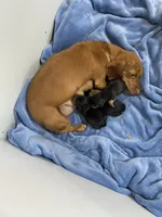 processed/5eeb9e21-a634-440b-896f-8ac4f61a2058/facility/900bfdca-753e-41a3-8057-7a199701e38f