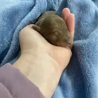 processed/5eeb9e21-a634-440b-896f-8ac4f61a2058/facility/e7c15572-d072-4917-8b8c-4cd197d0ee78