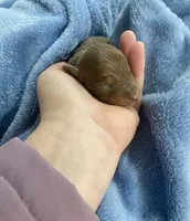 processed/5eeb9e21-a634-440b-896f-8ac4f61a2058/facility/e7c15572-d072-4917-8b8c-4cd197d0ee78