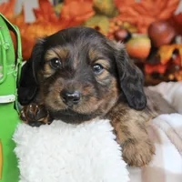 processed/5eeb9e21-a634-440b-896f-8ac4f61a2058/facility/fde33fc4-38fb-481b-8ed6-562b93321417