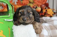 processed/5eeb9e21-a634-440b-896f-8ac4f61a2058/facility/fde33fc4-38fb-481b-8ed6-562b93321417