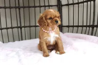 processed/5eeb9e21-a634-440b-896f-8ac4f61a2058/listing/d508ed7a-fcdb-464b-bb14-ebf82fc3b779/9fc7a0ec-77a1-4cae-b923-24bc3cfc11c5