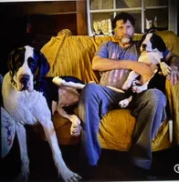 Nori, a female Great Dane for sale in Fort Payne, AL – 1 of 2