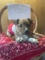 processed/5ef19b72-435c-4a44-8b8b-dcc01e1b027f/listing/30d150e5-a788-4fe4-beed-107d44223576/20ee4052-be60-40fd-b5ef-aa9186451f92